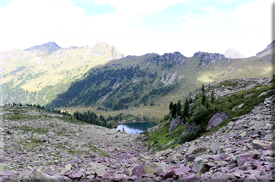 foto Forcella di Montalon